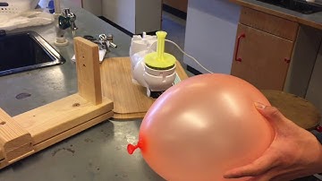 1% pogramming  skills. 99% Editing skills (Fable) [science2019]