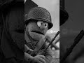 Puppets Storm The Beaches of Normandy France WWII