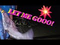 Catfishing during Spawn Tennessee River #spawn #fishing #catfish #tennessee #bankfishing