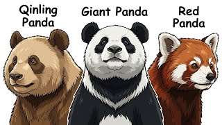 Every Giant Panda Species Explained In 5 Minutes!