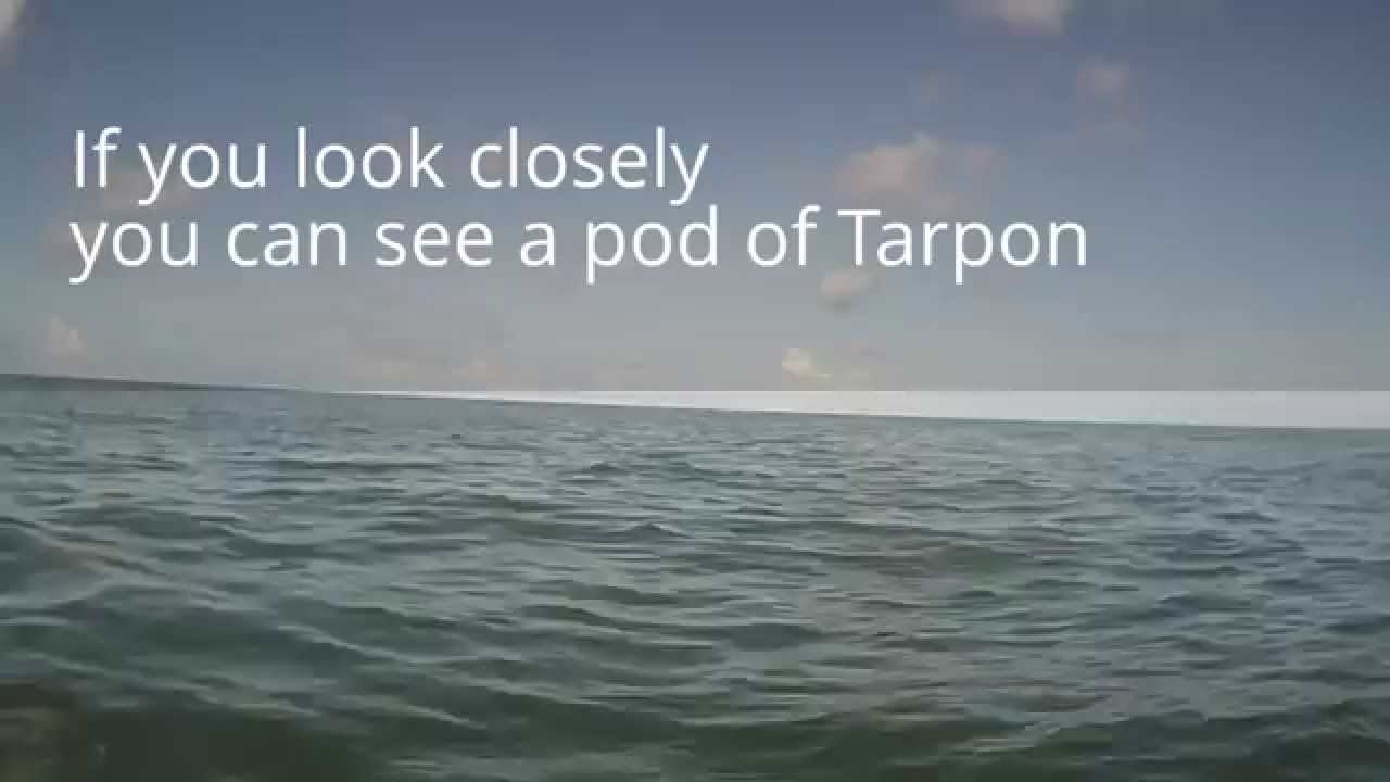 Kayaking Indian rocks beach YouTube