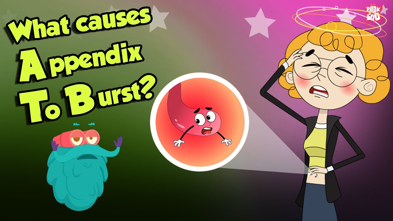 Why Appendix Burst? | Appendix | Dr Binocs Show | Peekaboo Kidz