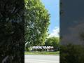 #travel #poland #trendingshorts #trending #europeantravel #reels #shortvideo #shortsfeed #shorts