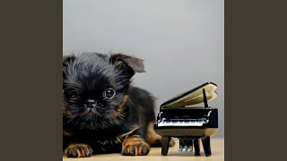 Piano's Tail-Wagging Serenade