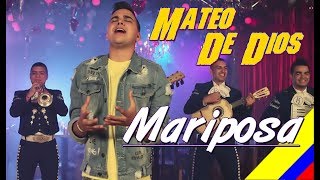 Mariposa   Mateo de Dios  Letra chords
