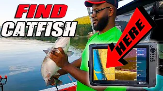 Catch more CATFISH from a boat. Catfish Frenzy