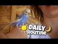 Daily pet routine | day of my life