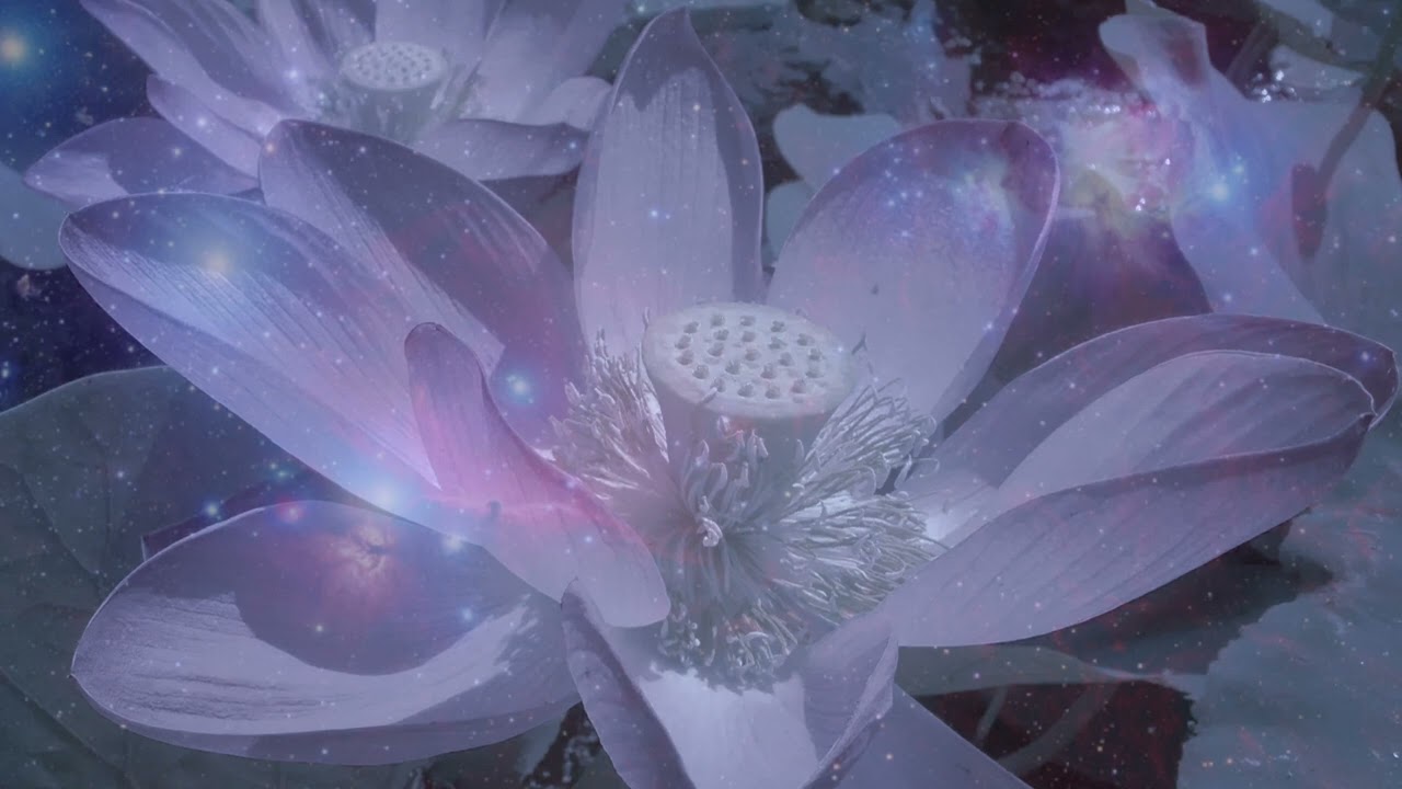 Baba Nam Kevalam - Avadhutika Ananda Abhiisa pt. 2 - Mahaprayan 2021