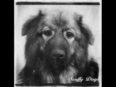 Scuffy Dogs artwork