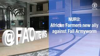 A new app to manage Fall Armyworm in the field