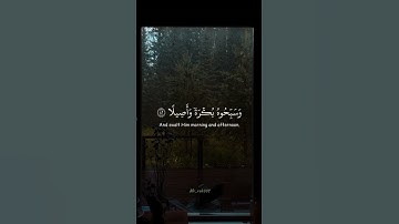 سورة الأحزاب |أية 40} القارئ ياسر الدوسري ||تلاوة خاشعة تطمني قلوب🤍🍃 #الاجر #اكتب_شي_تؤجر_عليه