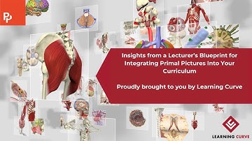 Curriculum Integration Made Easy: Primal Pictures for Lecturers