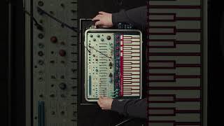 ‘Patch & Play’ Buchla Music Easel Episodes Out Now | #buchla #synth #electronicmusic #sounddesign
