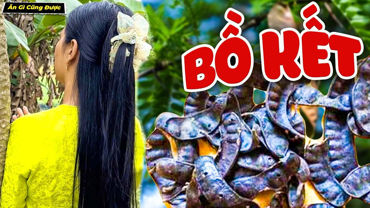 Cách Nấu Dầu Gội Tại Nhà Từ Bồ Kết Của Các Mẹ Ngày Xưa, Tóc Mượt Đen Óng Ả - Ăn Gì Cũng Được