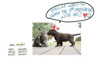 Latin: 3rd Conjugation Present System