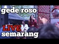 Download Via Vallen Gede Roso Live Semarang mp3
