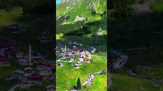 Elevit Yaylası Rize