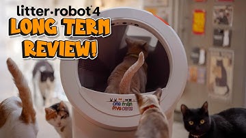 Litter Robot 4 Review - Still the best after 3 YEARS?