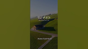 ويل لكل افاك اثيم. تلاوة جميلة. للقارئ الشيخ  ياسر الدوسرى