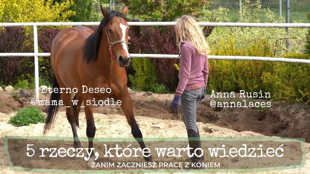 Jak porozumieć się z koniem?