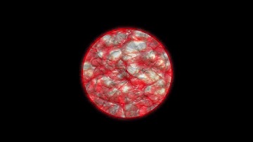 KNB126 - Neil Noble - 1st Motion Experiment - Modern Motion Design