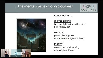 MindCORE Seminar Series: Lucia Melloni, PhD