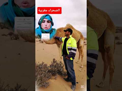 الحكم الذاتي الجزائر الصحراء المغربية المغرب قرار الامم المتحدة جو ويلسون البوليساريو منظمة