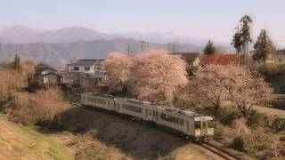八木さおり_春風に甘えて