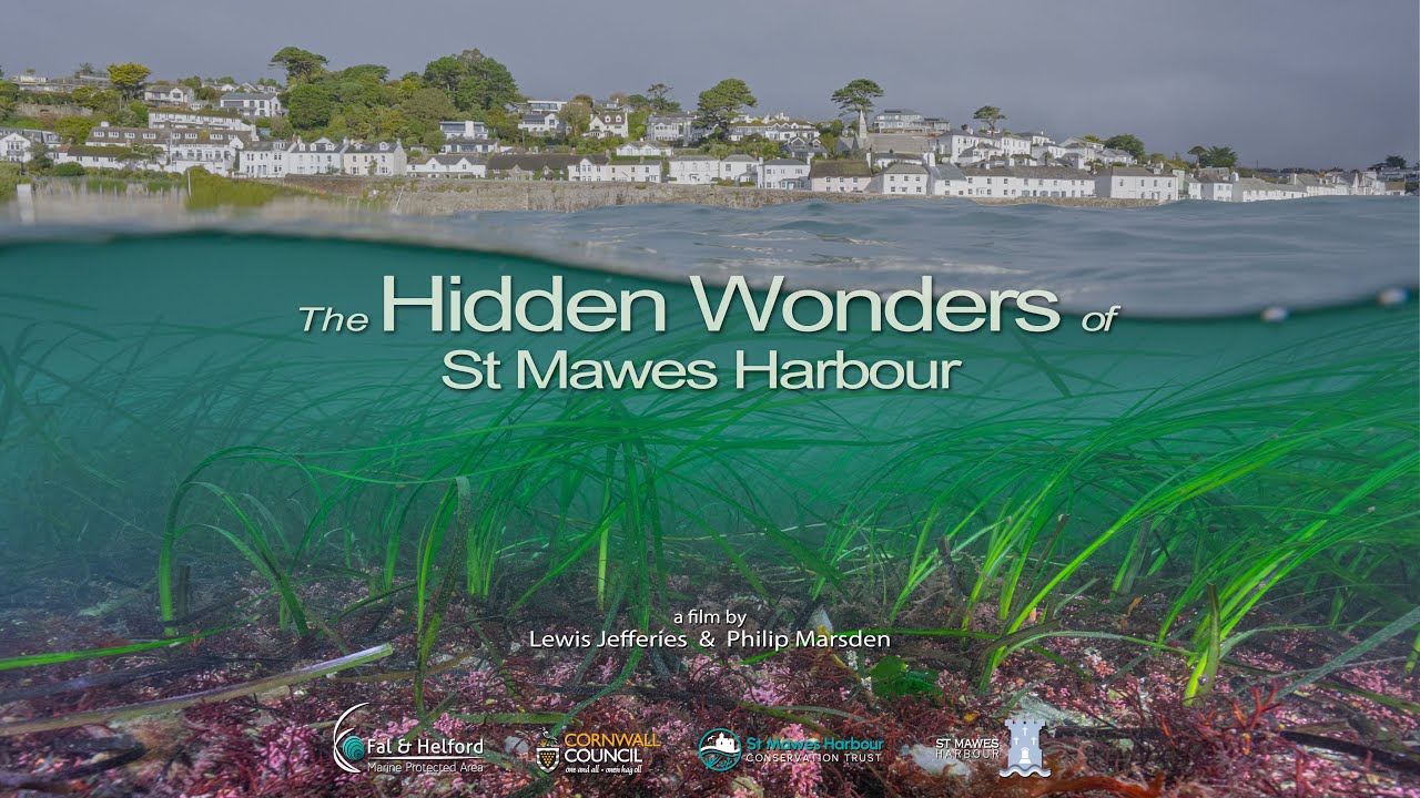 The Hidden Wonders of St Mawes Harbour