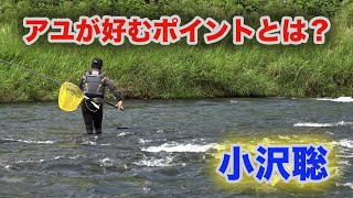 Amazon.co.jp: 鮎 DVD 小沢兄弟ライト瀬釣りの極意 小沢 聡 小澤