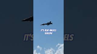 It’s #blueangels season, and #airshow season! #f18 #gonavy