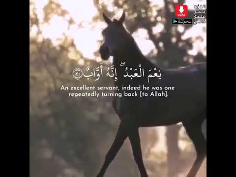 ووهبنا لداود سليمان نعم العبد انه اواب بصوت اسلام صبحي 