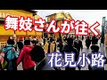 舞妓さんが往く花見小路 人気舞妓さんが通れば誰もが振り返る 京都祇園花街 2024年新年 maiko&geisha