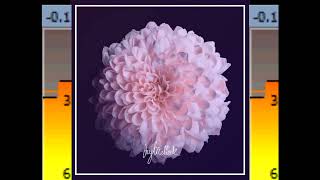 Jay Mellock - Bloom (Deep Bass Edit)