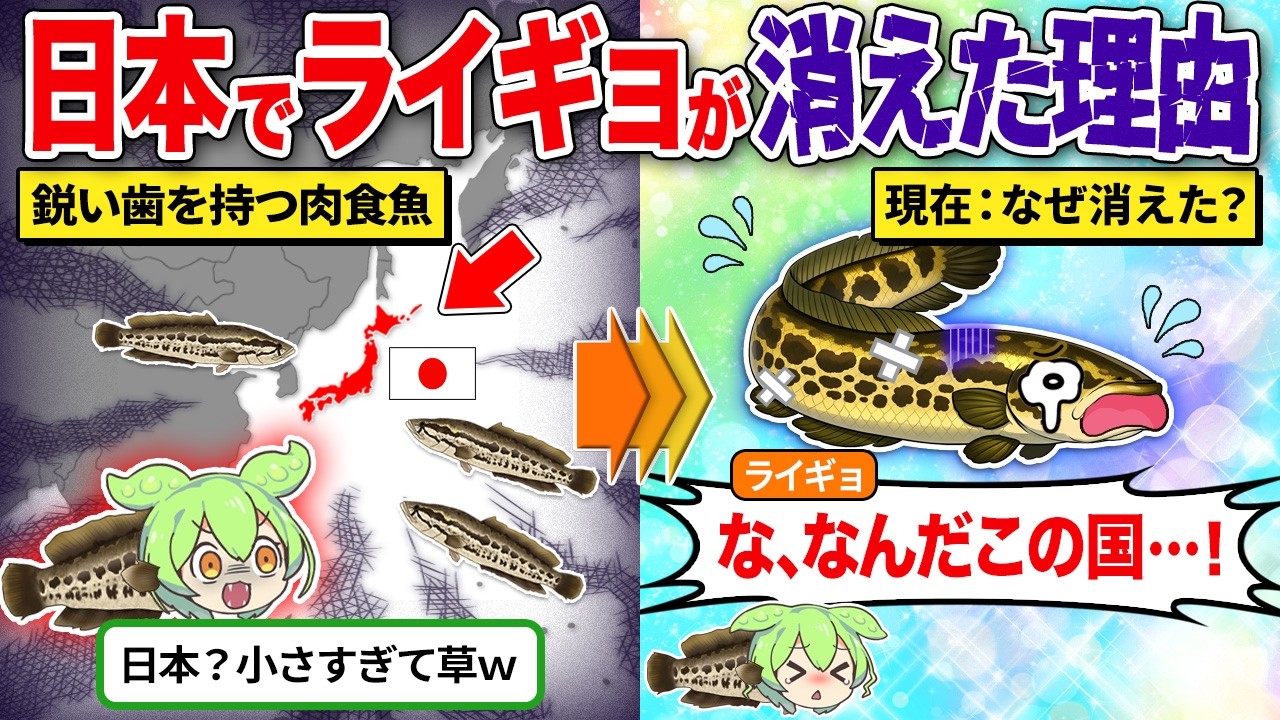ライギョはなぜ日本から姿を消したのか?