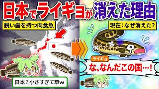 ライギョはなぜ日本から姿を消したのか?