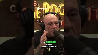 Simulation Reality Value, Pain, Love, and Super Intelligence #jre #podcast #joeroganpodcast