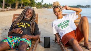 Island Reggae Vibes 🌴 Mellow Puff Music for Slow Sunday Mornings ☀️