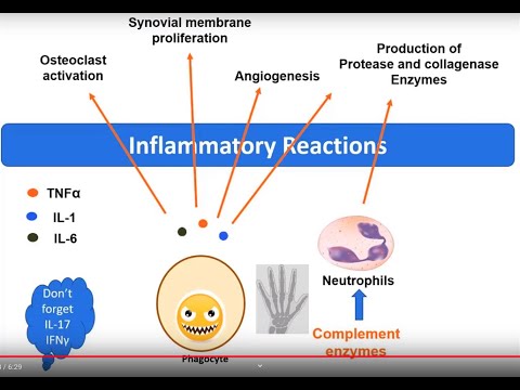 Video: Hvordan Citrullination Invaderede Reumatoid Arthritis Forskning