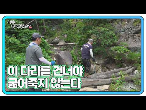 외나무다리 건너서 약초 찾으러 갑니다 MBN 260817 방송