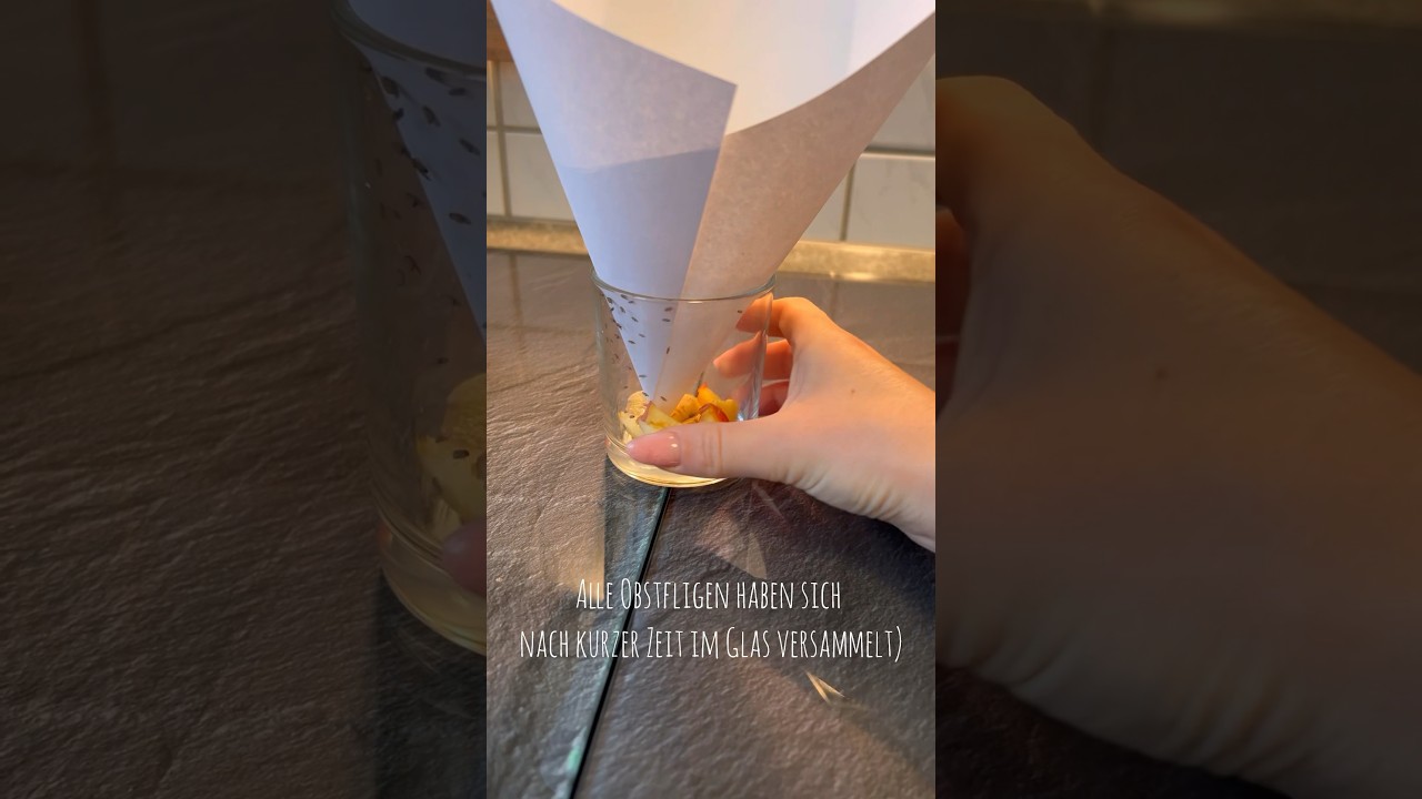 Die einfachste Obstfliegen Falle