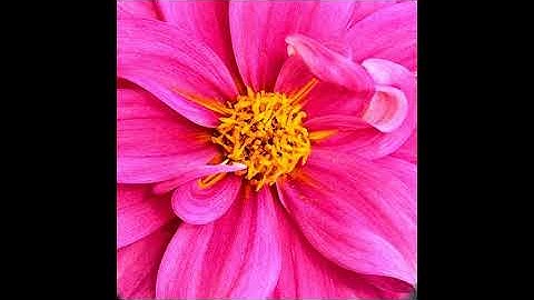 N SEMTA YEINTEY HADISH Eritrean mezmur by Isaac Abraham vol-1