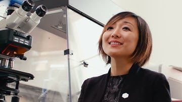 Exploring the role of the immune system in Alzheimer