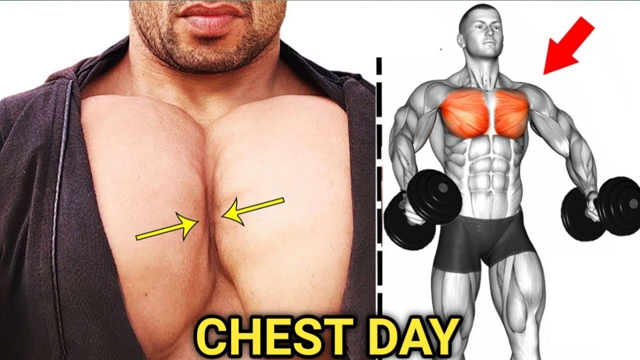 BEST 5 CHEST EXERCISES//perfect chest workout//FitSuraj