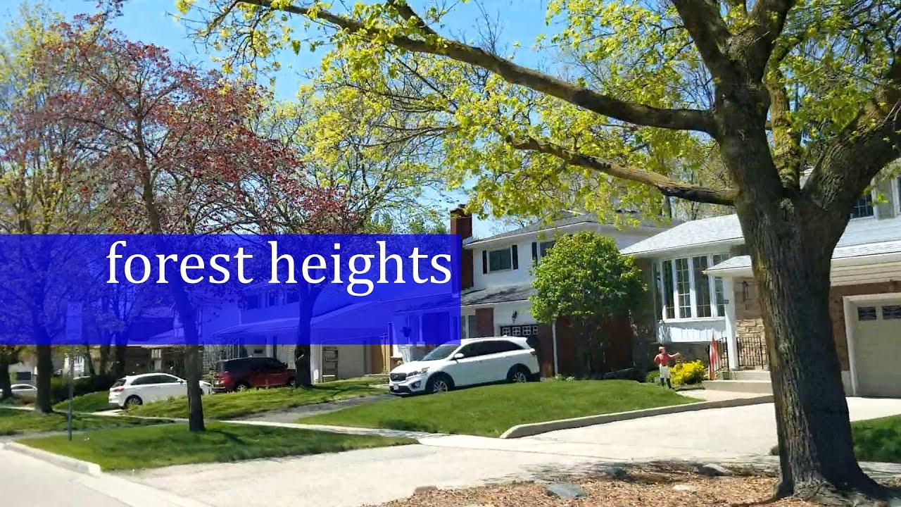The Forest Heights Neighbourhood in Kitchener YouTube