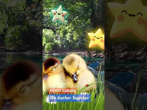 We Gather Together