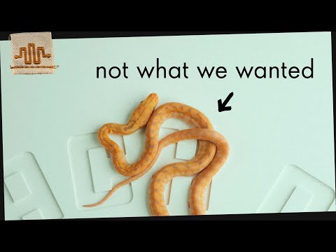 The odds were not in our favor | #CL23020 | The Clutch Files
