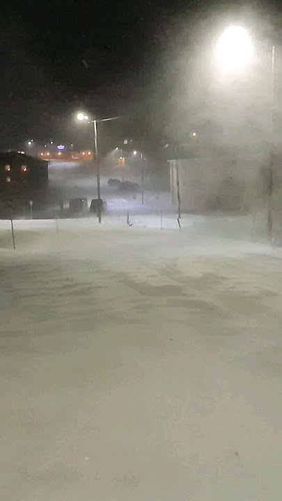 Snowy Windy Day 🥶