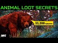 How To Get MAX Meat From Every Animal In DayZ
