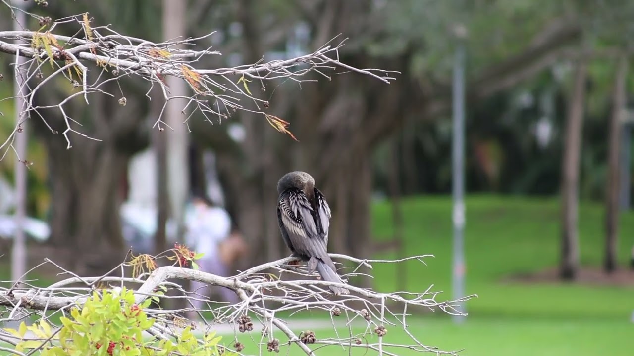 This is a video just to use YouTube compression so I can send it easier